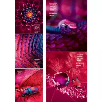 Тетрадь 48 листов в клетку Viva magenta, обложка мелованный картон, твин-лак, МИКС