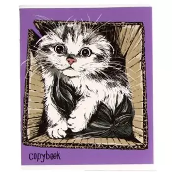 Тетрадь 48 листов, в клетку, "Жизнь котов", обложка мелованный картон, выборочный ТВИН-лак, ассорти