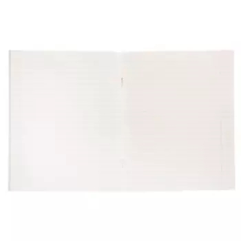 Тетрадь 48 листов в линейку, Calligrata «Дикие кошки», МИКС