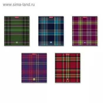 Тетрадь 48 листов в линейку ErichKrause Scottish Cage, обложка мелованный картон, блок офсет, белизна 100%, МИКС