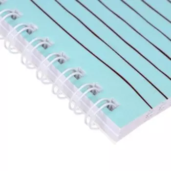 Тетрадь 48 листов в линованная на гребне "Ленивец", обложка мелованный картон, матовая ламинация, тиснение, блок 70 г/м²