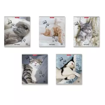 Тетрадь 48л кл ErichKrause Be Relaxed, матовая ламинация, микс