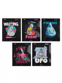 Тетрадь 48л кл Hatber "ЖДУН", на скобе, скругл углы, глянц лам, 60-65г/м 5В МИКС