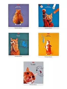 Тетрадь 48 листов в клетку на скобе «Приключения Василия», МИКС