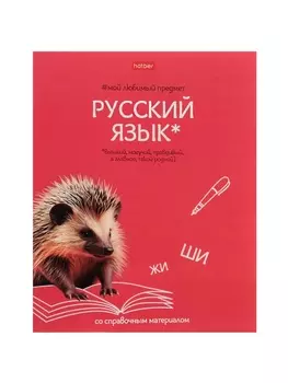 Тетрадь 48л лин "Мой любимый предмет" РУССКИЙ ЯЗЫК, мел карт, S-touch, интер справ, офсет
