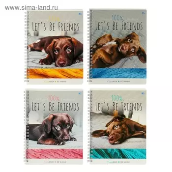 Тетрадь 60 листов в линию на гребне "Мой Честер", обложка мелованный картон, блок офсет, МИКС