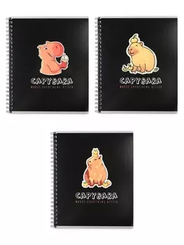 Тетрадь 80 листов в клетку, на гребне, Capy