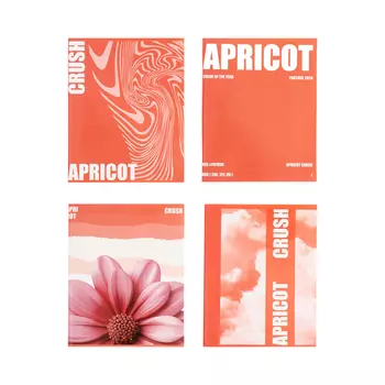 Тетрадь 96 листов в клетку Calligrata Apricot Crush, обложка мелованный картон, глянцевая ламинация, блок офсет МИКС