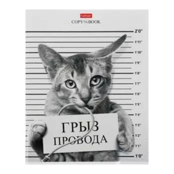 Тетрадь 96 листов в клетку "Кот-обормот", обложка мелованный картон, блок 65 г/м²
