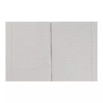 Тетрадь 96 листов в клетку Wild Cats, обложка хром-эрзац, блок № 2 класс "D"