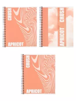 Тетрадь 96 листов в клетку, на гребне, Apricot, МИКС