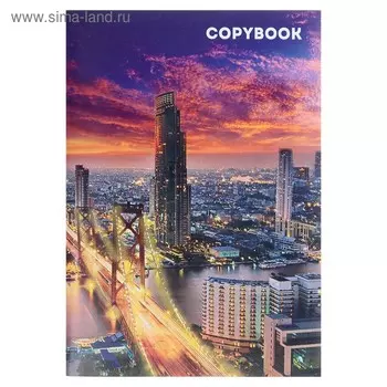 Тетрадь А4, 48 листов в клетку «Город», серые листы