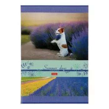 Тетрадь А4, 96 листов в клетку Summer Days, обложка мелованный картон, тиснение CROCO, блок офсет, МИКС