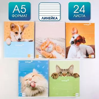 Тетрадь в линейку 24 листа А5, на скрепке «Милые питомцы», 5 видов МИКС, белизна 96% .