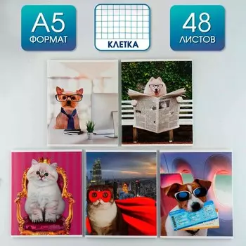 Тетрадь А5, 48 л на скрепке МИКС «Милые питомцы» , обложка мелованный картон 230 гр., внутренний блок №1, в клетку 80 гр., белизна 96%