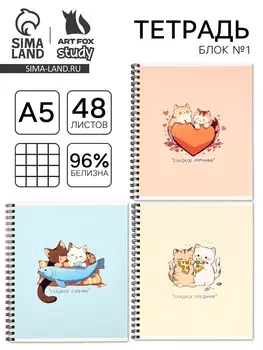 Тетрадь в клетку, 48 л., А5, на спирали, блок №1 «Аниме котики» МИКС