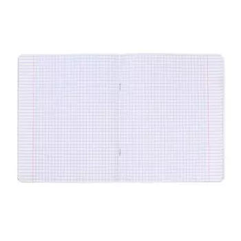 Тетрадь 48 листов в клетку «Нужные книги», обложка мелованный картон, глянцевая ламинация, скругленные углы, блок 65 г/м, МИКС