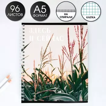 Тетрадь в клетку, 96 л., А5, на спирали, блок №1«Здесь и сейчас»