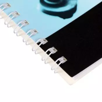 Тетрадь для нот А4, 32 листа "Музыка звучит", обложка мелованный картон, блок 65 г/м2