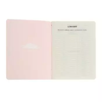 Тетрадь для записи иностранных слов 32 листа "Белая кошка", обложка мелованный картон, глянцевая ламинация