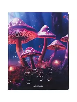 Тетрадь на кольцах 80л кл ГРИБЫ ФЕНТЕЗИ, со смен блоком, тв обл, бл 60 г/м2