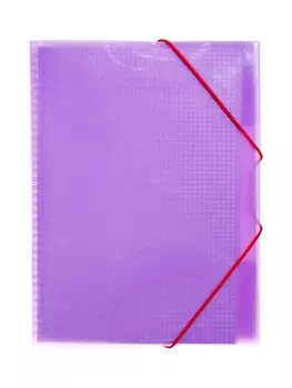 Тетрадь-папка А4, 80 листов в клетку Hatber FolderBook, пластиковая обложка, на закрытом гребне, с клапаном на резинке, фиолетовая
