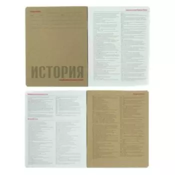 Тетрадь предметная Hashtags, 48 листов в клетку «История» со справочным материалом, блок 65 г/м2