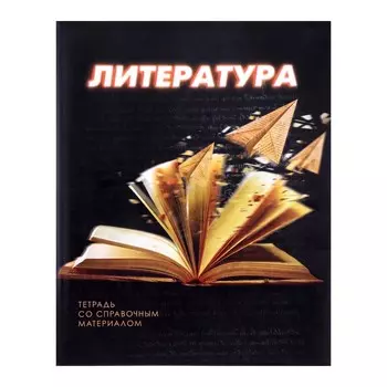 Тетрадь предметная, 48 листов в линейку, Calligrata «3D. Литература», серые листы