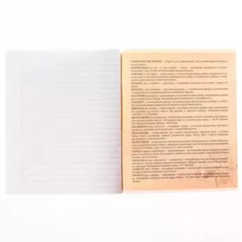 Тетрадь предметная 48 листов, линейка, "Литература", Человек-паук