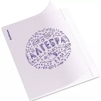 Тетрадь предметная «ErichKrause Chaos. Алгебра», 48 листов в клетку, пластиковая обложка