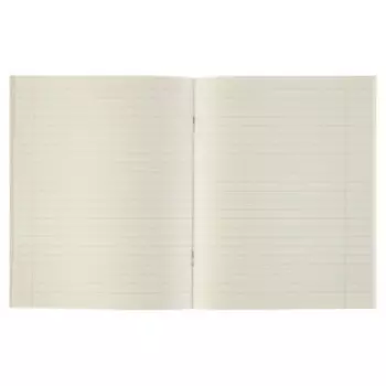 Тетрадь предметная, 48 листов линейку Calligrata, «Чёрное-белое. Литература», серые листы