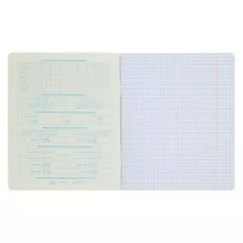 Тетрадь предметная Фразы, 48 листов, клетка, Алгебра, обложка мелованный картон, закруглённые углы