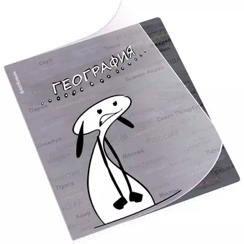 Тетрадь предметная 48 листов в клетку ErichKrause «Чубрик.География», обложка мелованный картон