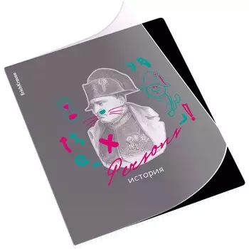 Тетрадь предметная 48 листов в клетку, ErichKrause Persons «История», пластиковая обложка