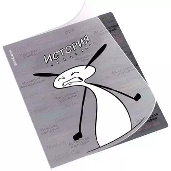 Тетрадь предметная 48 листов в клетку ErichKrause «Чубрик», по истории, пластиковая обложка, шелкография, блок офсет, белизна 100%, информационный б...