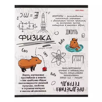 Тетрадь предметная "Капибара", 48 листов в клетку "Физика", обложка мелованный картон, тиснение лен, блок офсет