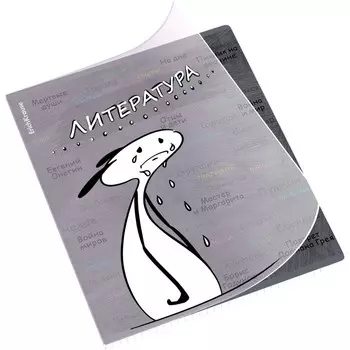 Тетрадь предметная 48 листов в линейку, ErichKrause «Чубрик. Литература», пластиковая обложка