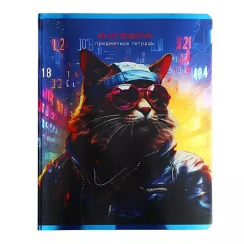 Тетрадь предметная "Мир будущего", 48 листов в клетку,"Алгебра", мелованный картон, металлизированная краска, блок офсет