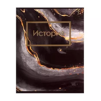 Тетрадь предметная 48 листов в клетку Calligrata, «Мрамор тёмный.История», обложка мелованный картон