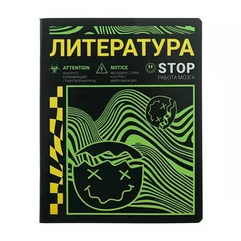 Тетрадь предметная «Неоновый смайл.Литература», 48 листов в клетку, обложка мелованный картон