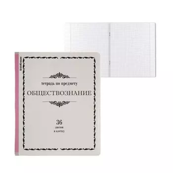 Тетрадь предметная 36 листов в клетку ErichKrause «Обществознание», обложка мелованный картон, блок офсет, белизна 100%, информационный блок