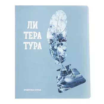 Тетрадь предметная "Подсказки", 48 листов в линейку, "Литература", мелованный картон, матовая ламинация, touch лак, блок офсет