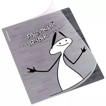 Тетрадь предметная 48 листов в клетку ErichKrause «Чубрик», по русскому языку, пластиковая обложка, шелкография, блок офсет, белизна 100%, информаци...