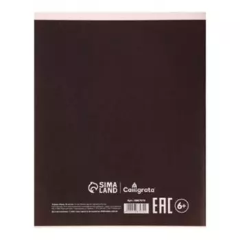 Тетрадь предметная, 48 листов в клетку Calligrata, «СуперНеон. География»