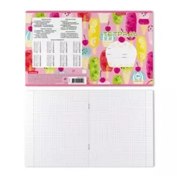 Тетрадь ученическая 24 листа в клетку ErichKrause Ice cream, с принтом