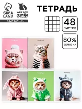 Тетрадь в клетку, 48 л., А5, на скрепке, блок №2 «Котики» МИКС