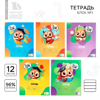 Тетрадь в линейку 12 листов А5, на скрепке «Учись на 5+», обложка мелованный картон, блок №1 белизна 96%, 5 видов МИКС