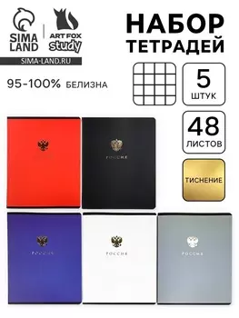 Тетради в клетку, 48 л., набор из 5 шт., блок №1 «Россия»