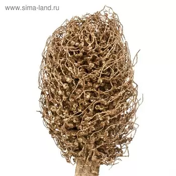 Тока олимпика, 60 см, золотой