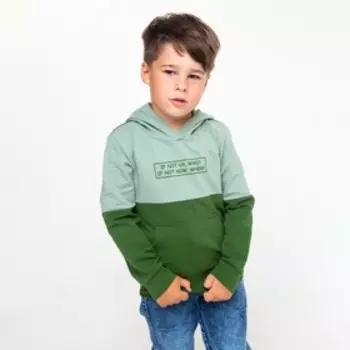 Толстовка для мальчика, цвет серо-зелёный, рост 116 см